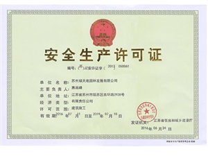 松樹